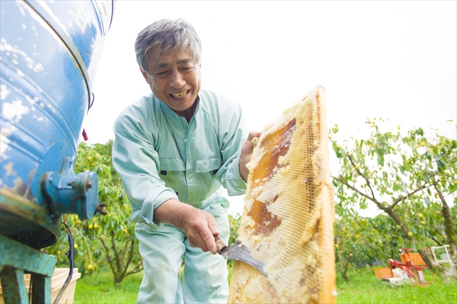 蜂蜜おやじのこだわり