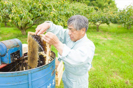 蜜蓋を切る