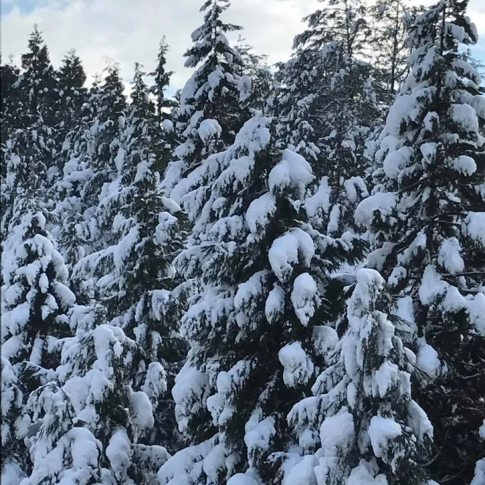 津山でも雪が降り10cm〜30cmほどの積雪がありました。