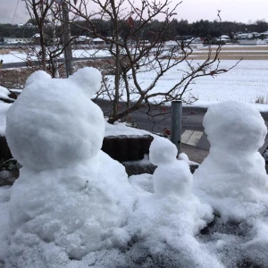 美甘養蜂園も雪景色になりました！