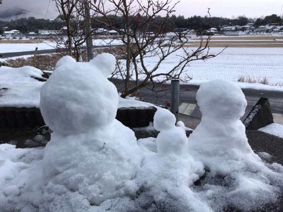 美甘養蜂園も雪景色になりました！