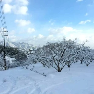 全国的に大荒れな天気ですね。