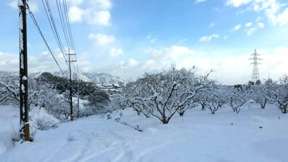 全国的に大荒れな天気ですね。