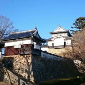 備中松山城と鳥取県の花回廊に行ってきました。