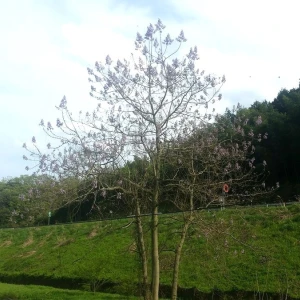 ミカンの蜂蜜も美味しいですよ！ 一度食べてみて下さい。