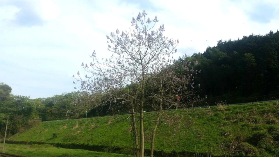 ミカンの蜂蜜も美味しいですよ！ 一度食べてみて下さい。