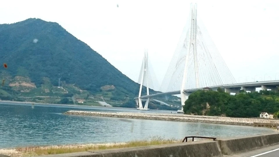 大三島でみかんの採蜜に行って来ました