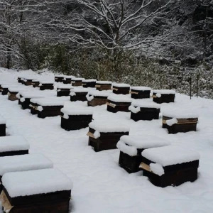 富の蜂場に残っている巣箱を津山に移動する作業をして来ました。