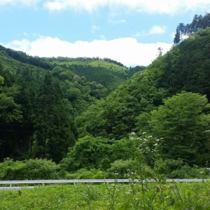 今年の採蜜が終了しました！