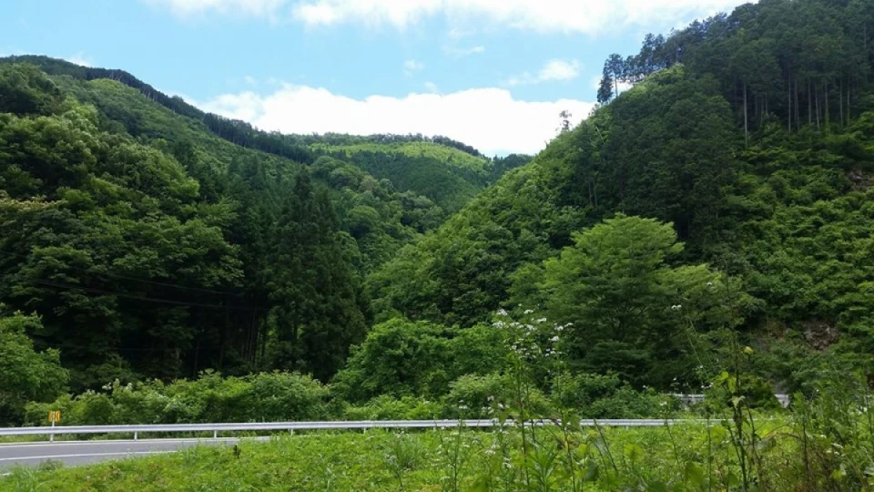 今年の採蜜が終了しました！