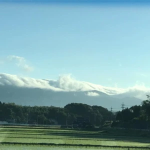 新蜜セールが２８日までとなっております！！