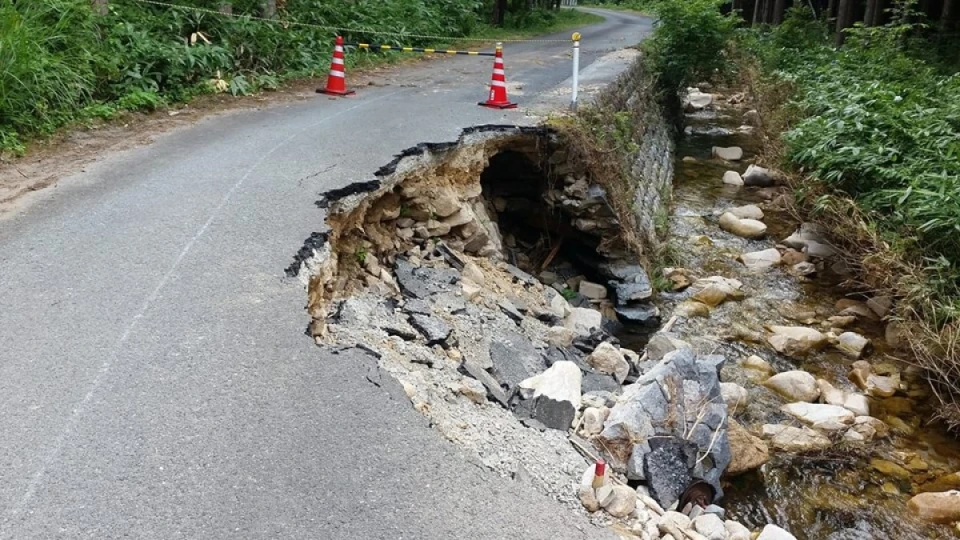 台風で巣箱のフタが風で飛ばされ無い用に釘でフタを固定する作業に行って来ました。