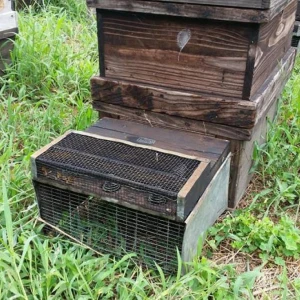 津山の蜂場の巣箱にスズメ蜂の捕獲器を取り付けに行って来ました