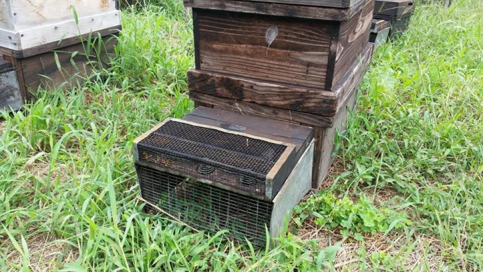 津山の蜂場の巣箱にスズメ蜂の捕獲器を取り付けに行って来ました