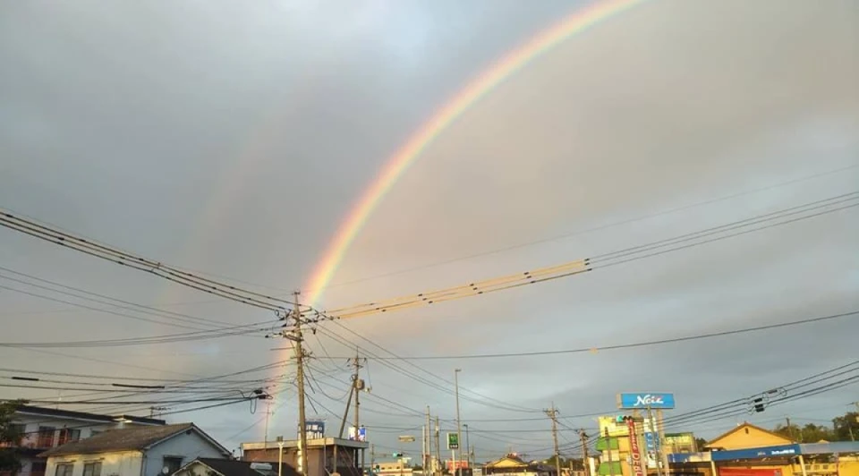 夕方、東には綺麗な虹が出ていました