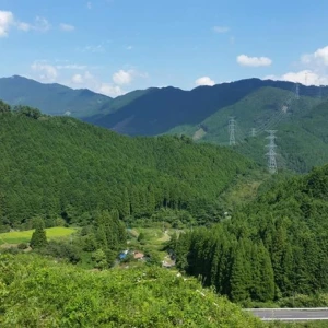 台風の過ぎた後の富と奥津の蜂場に被害が無いか、ぐるっと各蜂場を回って来ました