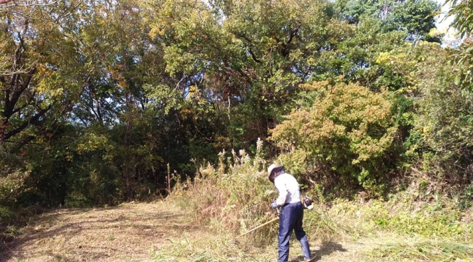 蜂の移動と蜂場の草刈り