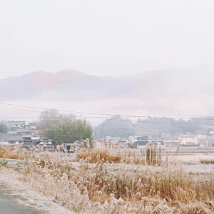 今朝の気温は-2℃でした。