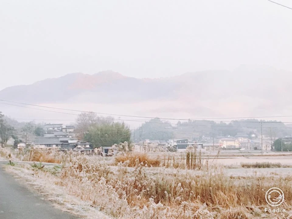 今朝の気温は-2℃でした。